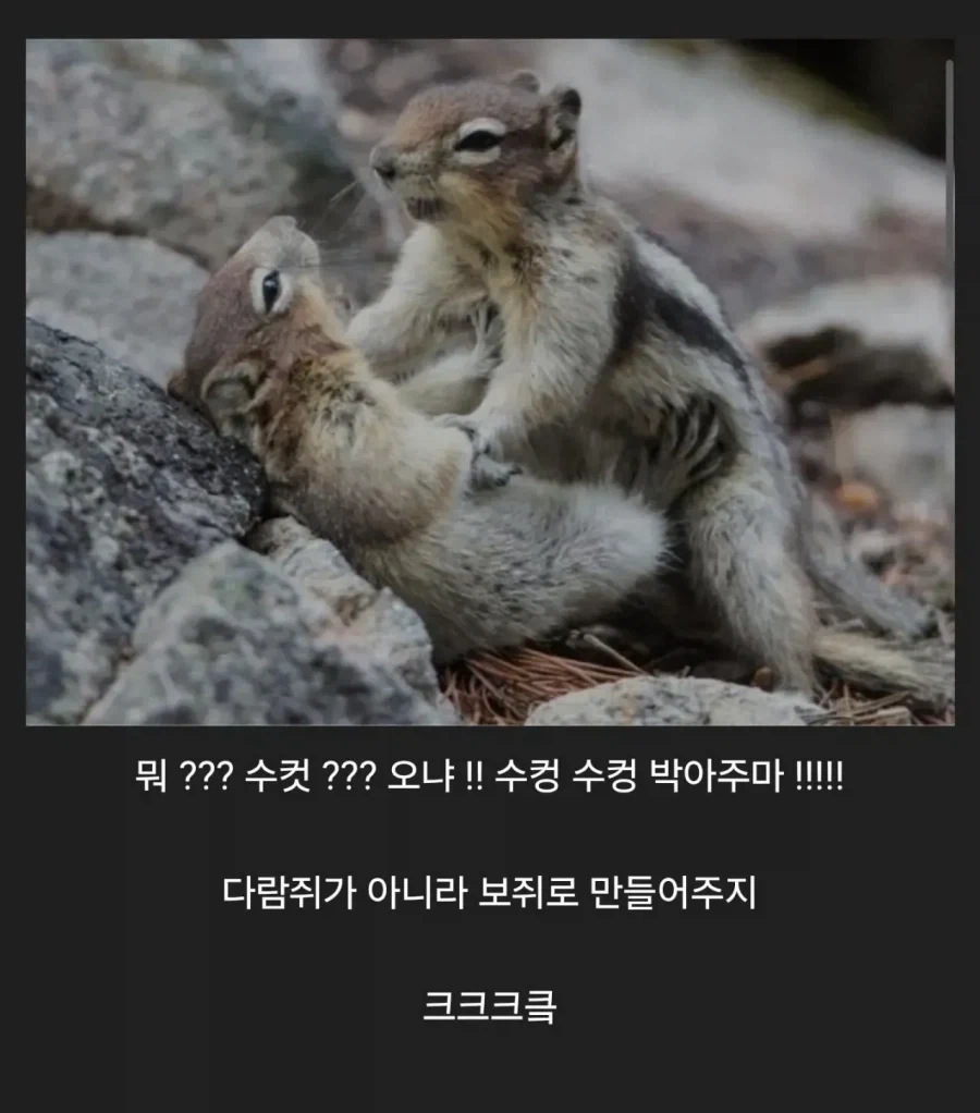 나 수컷이라고 멈춰!!!_1.webp