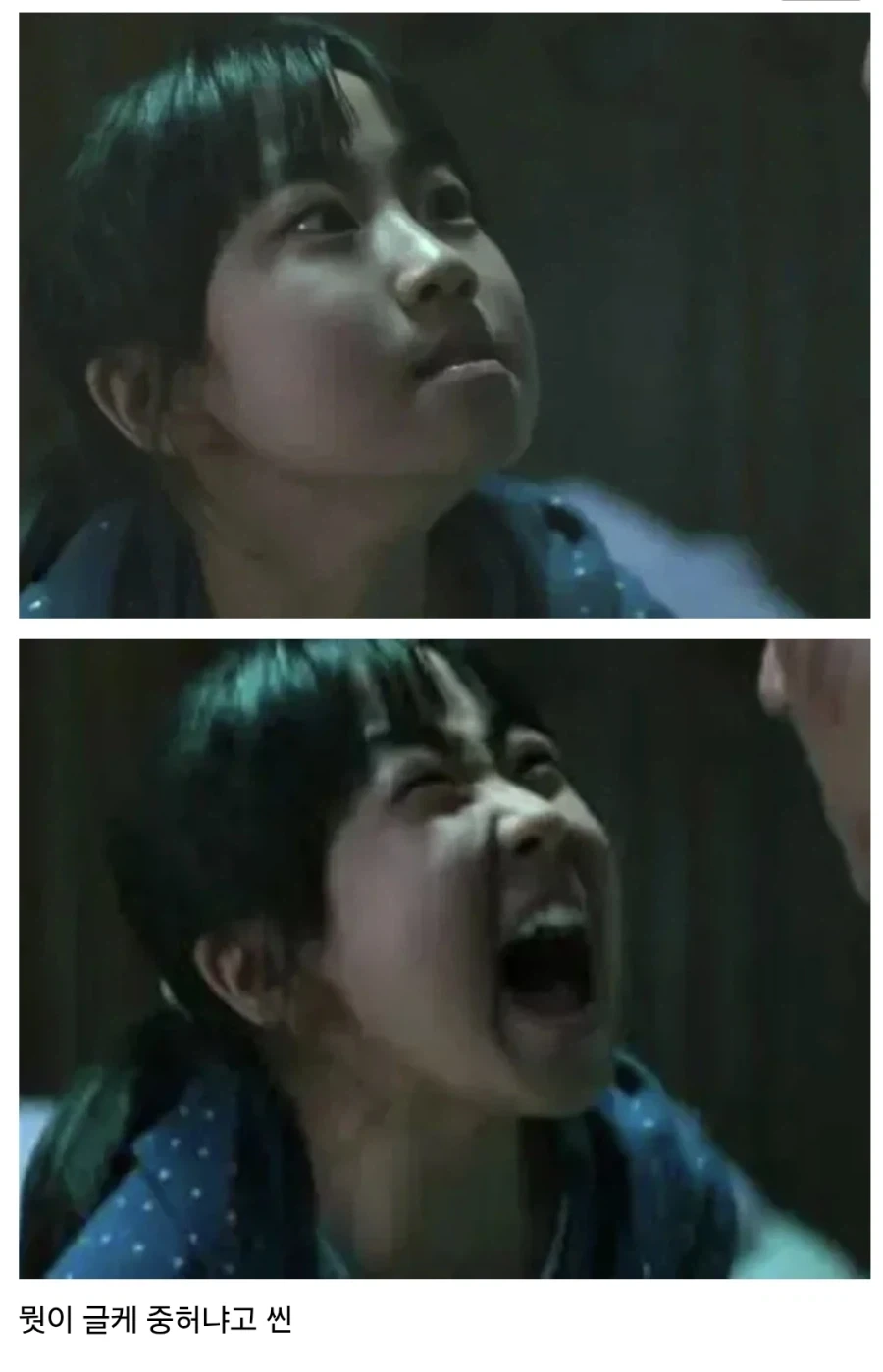 외국인이 해석한 영화 곡성의 장면._1.webp