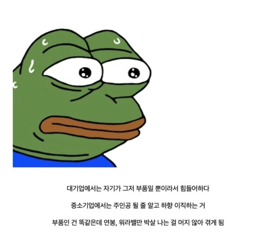대기업 다니는 사람이 할수있는 최악의 선택_1.webp