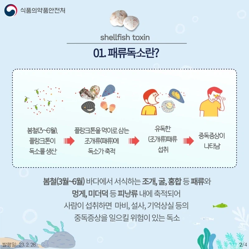 봄에 굴이나 조개 먹을 때 조심해야 하는 이유_1.webp