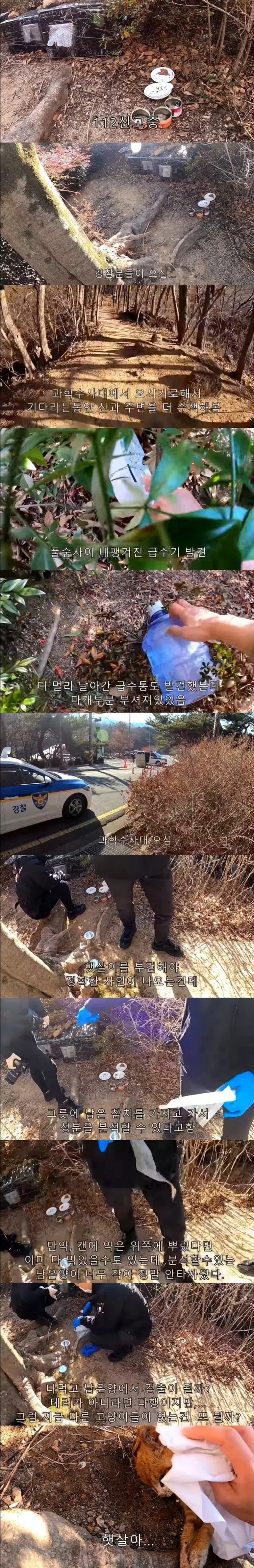 캣맘 관련 가장 큰 문제_2.webp