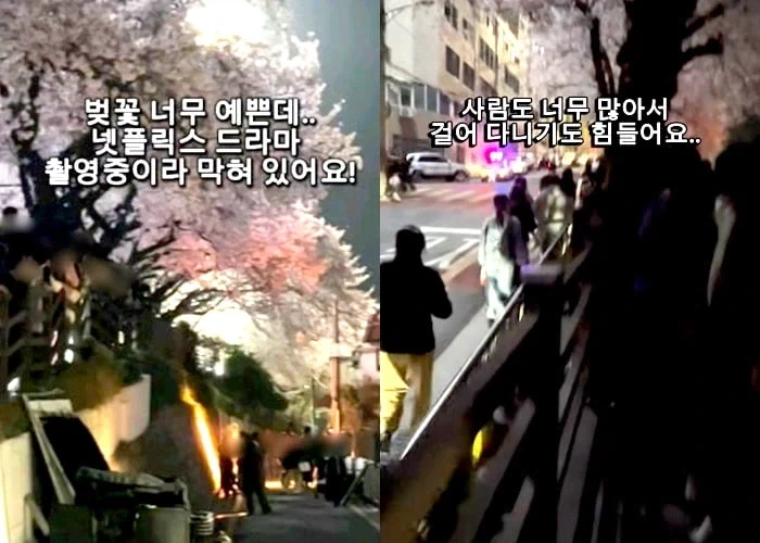 방송사들은 왜곡 및 민폐 관련해서, 어길시 엄벌해야 함_5.webp