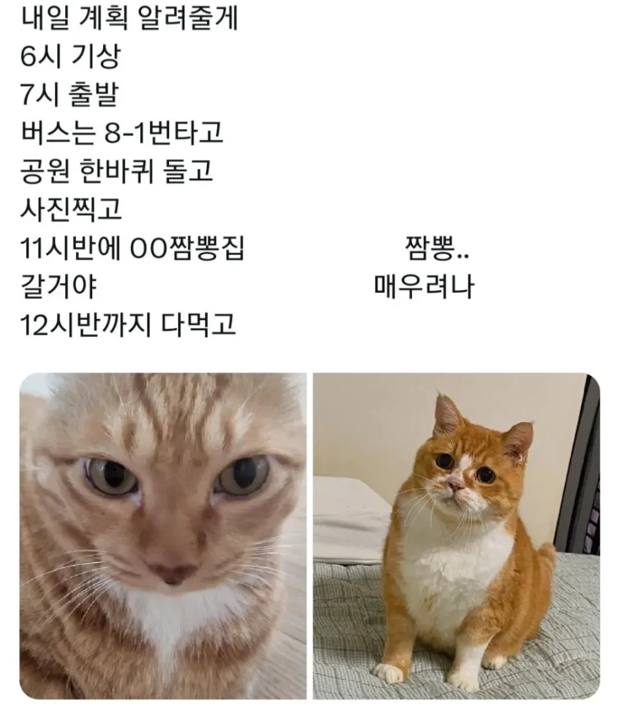 완전 반대인 타입의 여행 준비_1.webp
