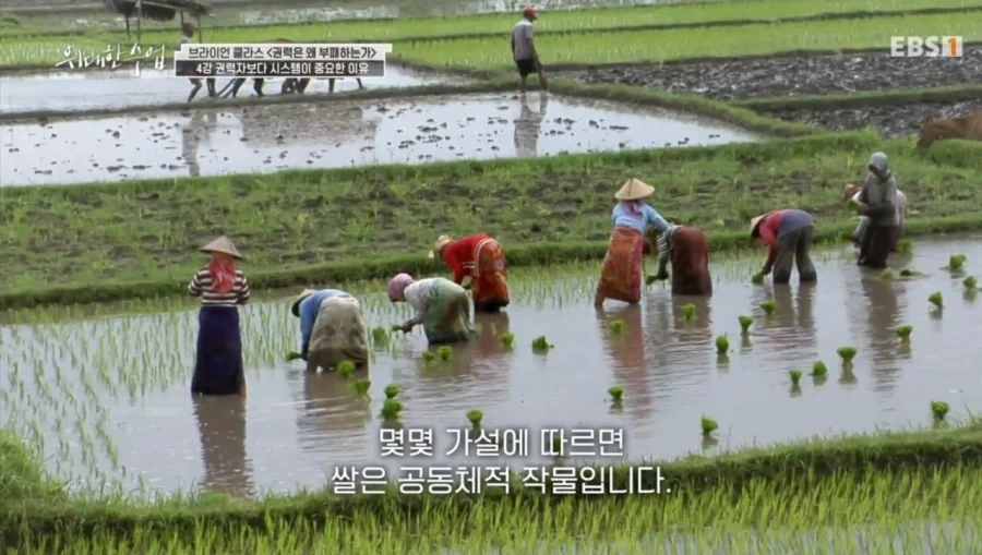 스타벅스에서 관찰된 쌀 문화권 vs 밀 문화권의 차이_11.webp