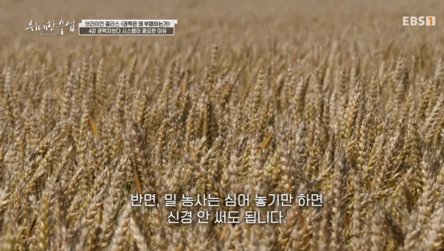 스타벅스에서 관찰된 쌀 문화권 vs 밀 문화권의 차이_13.webp