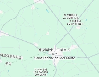 프랑스에서는 rt를
