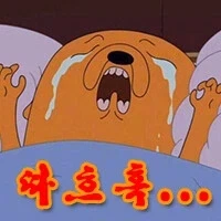 프랑스에서는 rt를