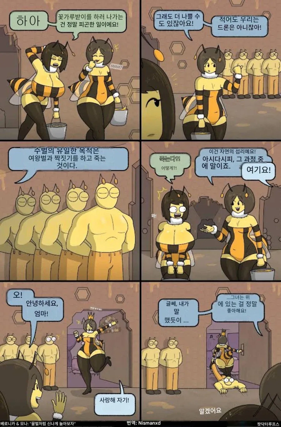 수컷벌이 존재하는 이유_1.webp