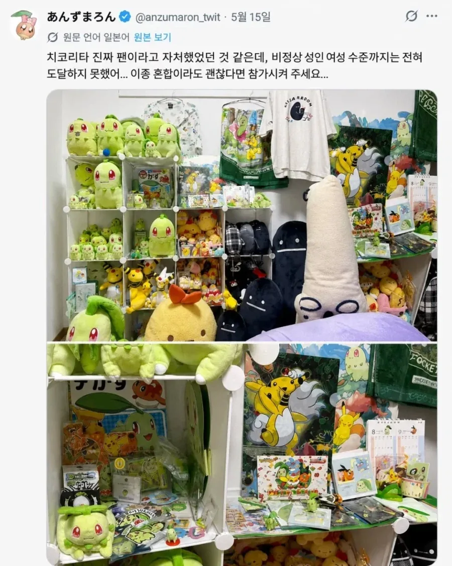 일본에서 벌어진 포켓몬 트레이너 대결.jpg_3.webp