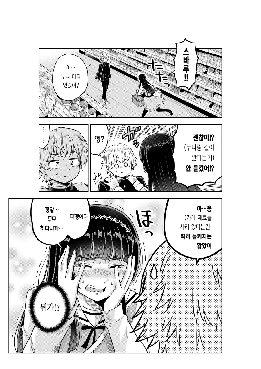 여고생 누나가 사춘기 남동생을 이해해주려는 만화.MANGA_15.jpg