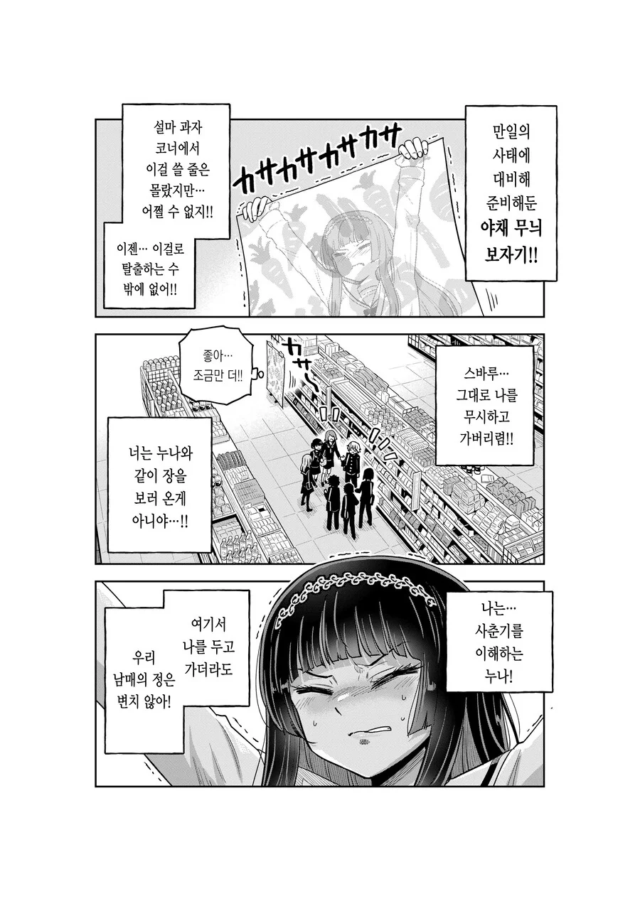 여고생 누나가 사춘기 남동생을 이해해주려는 만화.MANGA_22.jpg