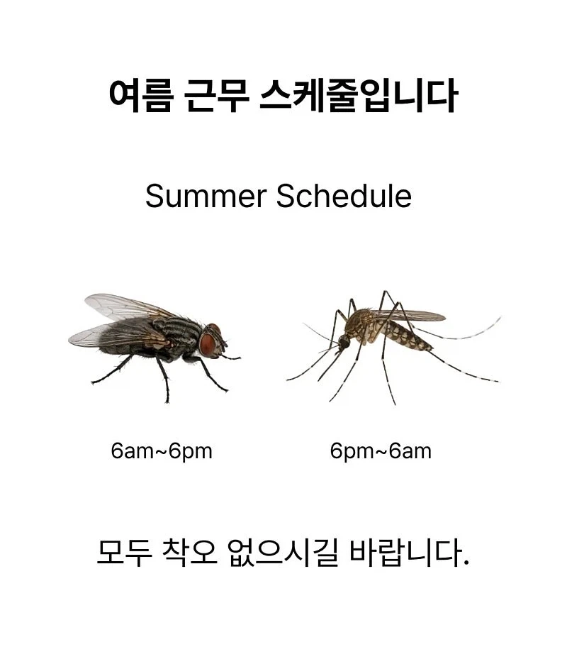 여름근무 스케줄 업데이트 되었습니다_1.webp