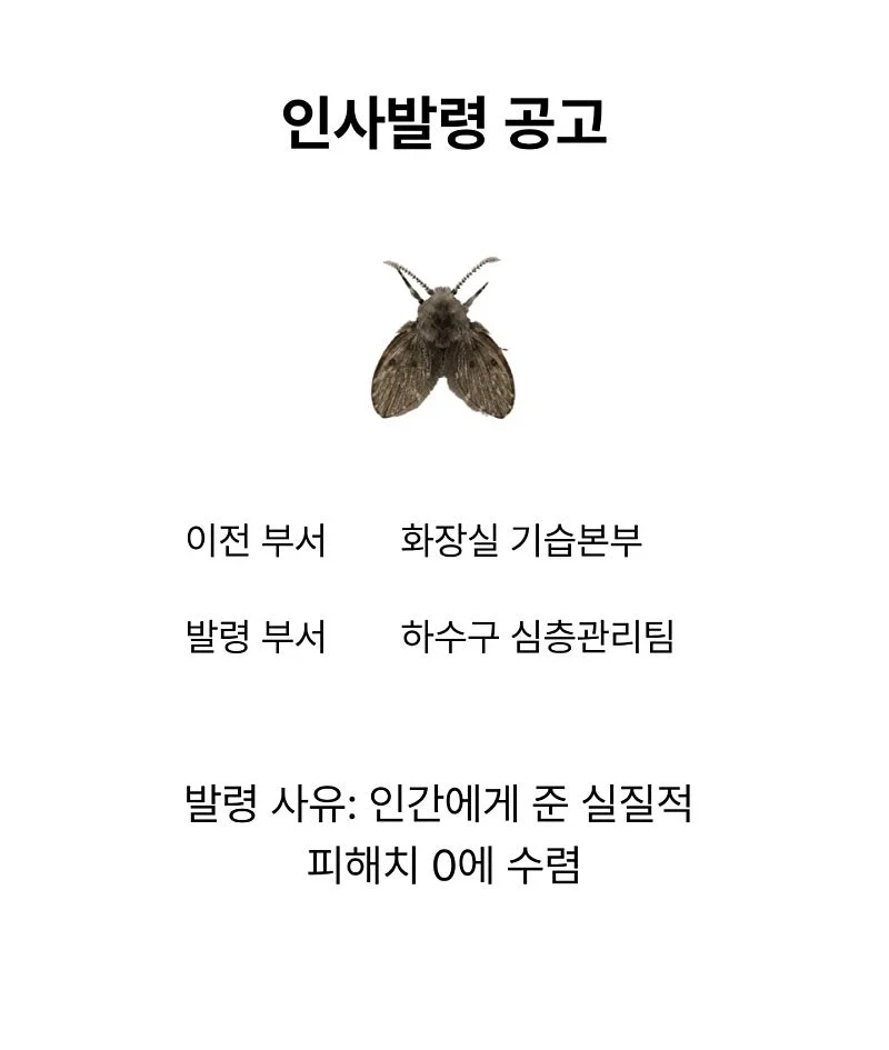 여름근무 스케줄 업데이트 되었습니다_2.webp