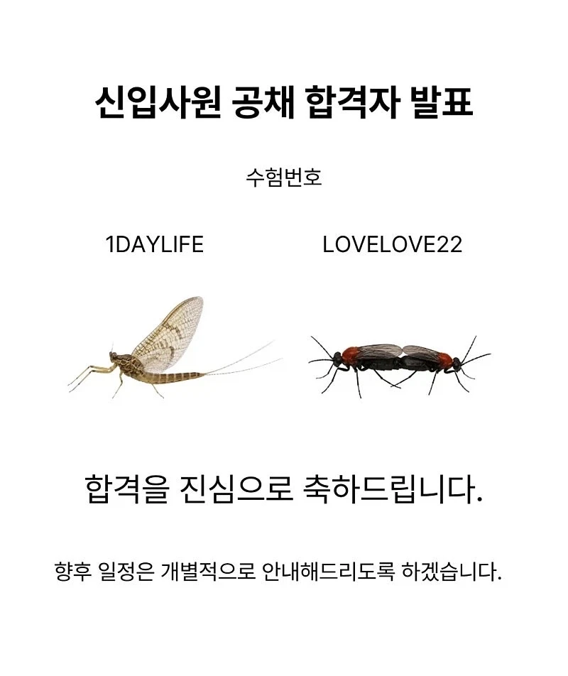 여름근무 스케줄 업데이트 되었습니다_3.webp