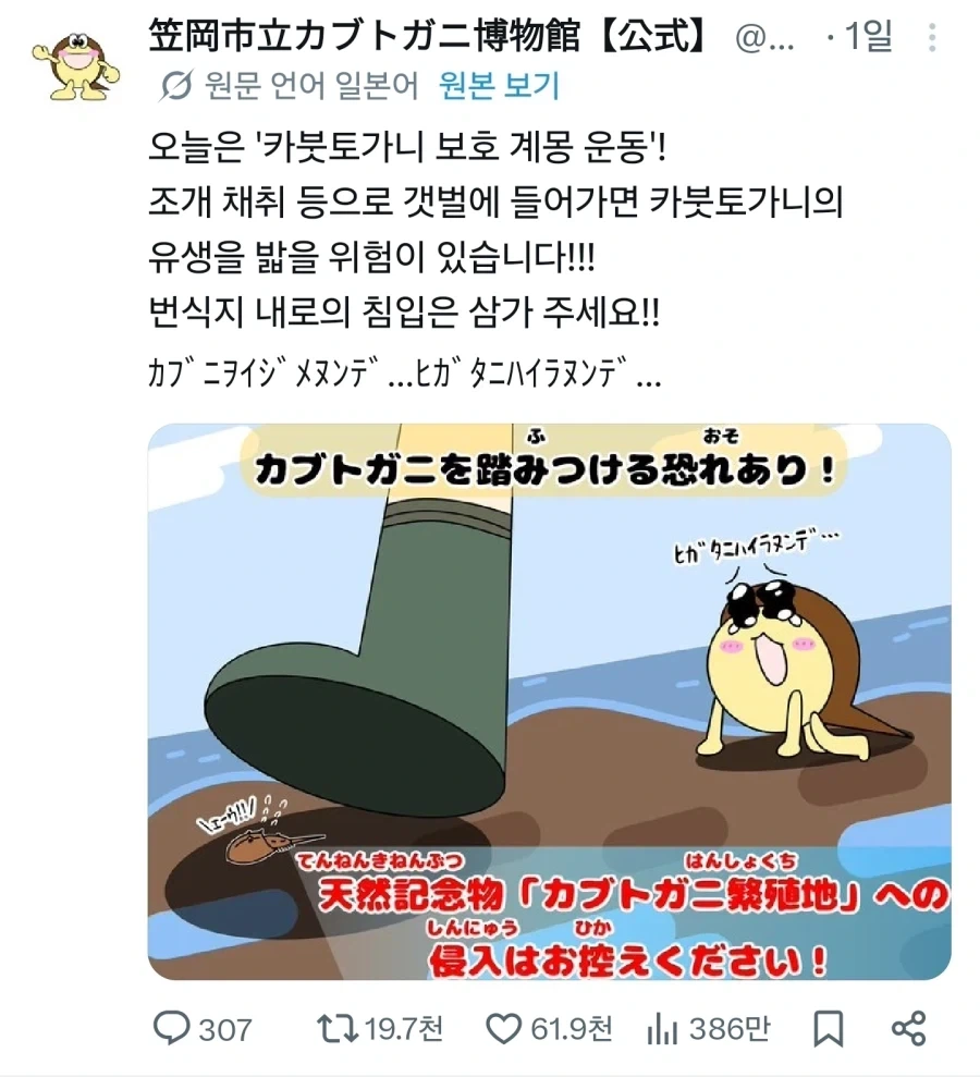 『투구게 번식지인 갯벌에 들어가지 마세요』_1.webp