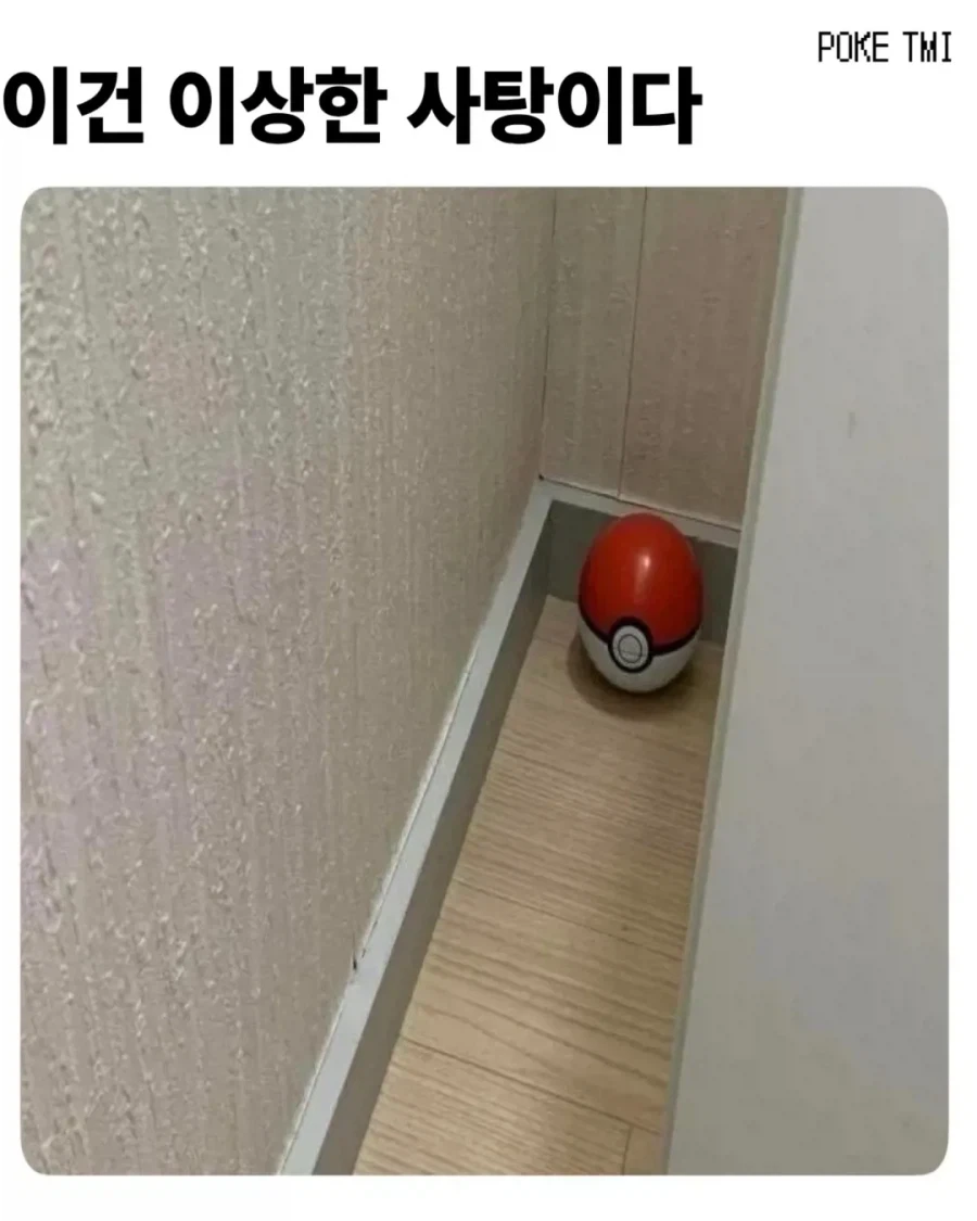 포켓몬 아이템 배치 특징_1.webp