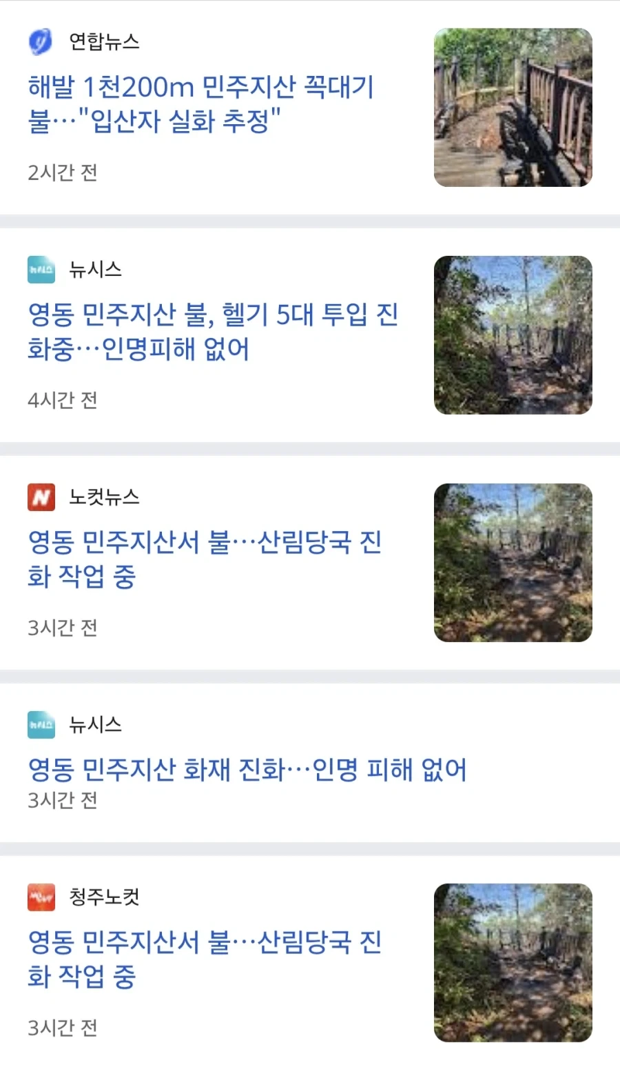 민주지산 꼭대기 불...