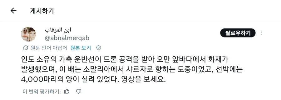 양이 물에 빠지면?_1.webp