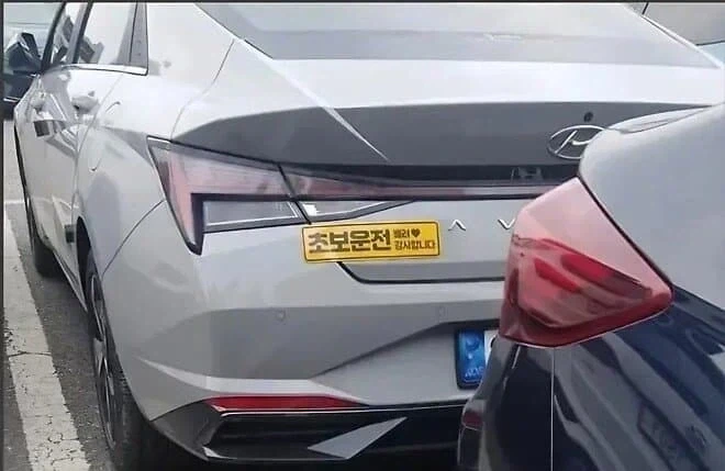10미터는 떨어져야 할 의심의 여지 없는 초보운전_1.webp