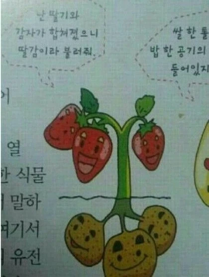 특이점이 온 식물 이름_1.webp