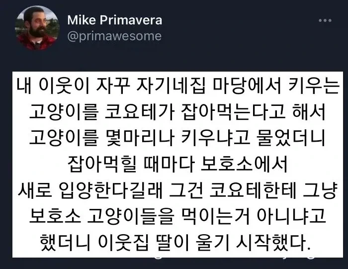 마당에서 키우는 고양이가 코요테에 잡아먹힌다는 이웃.JPG_1.webp