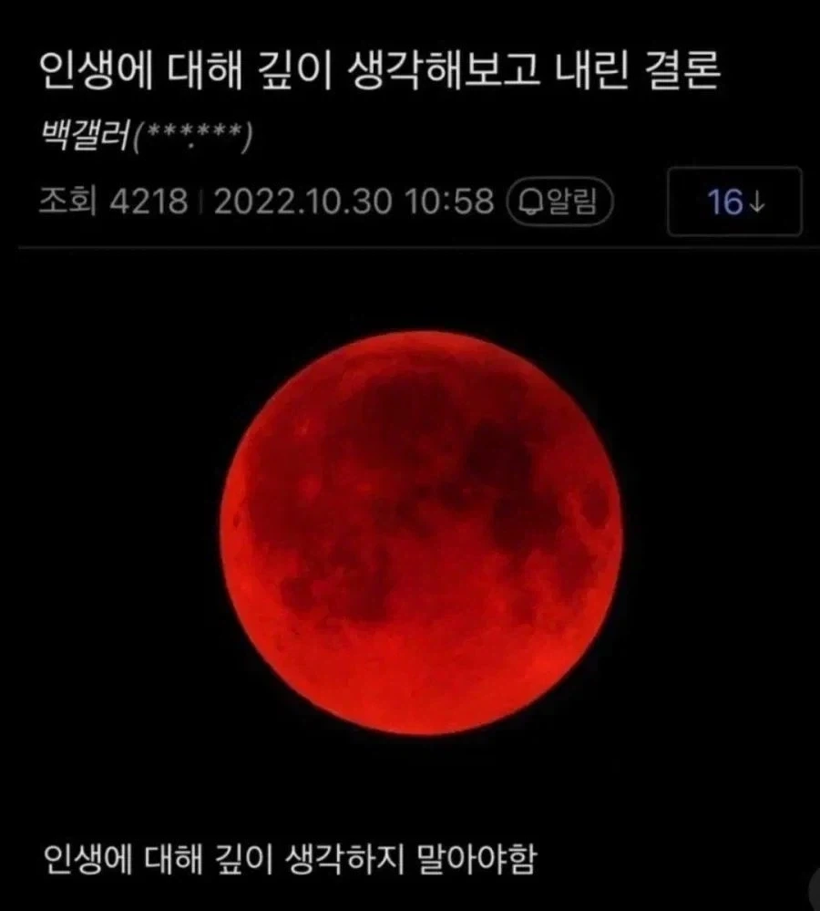 인생에 대해 깊이 생각해보고 내린 결론_1.webp