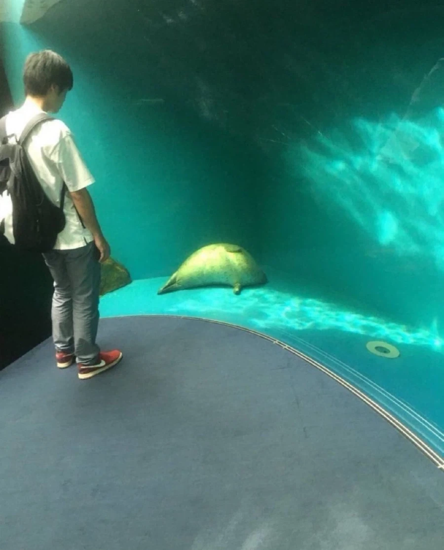 손님이고 나발이고..._1.webp