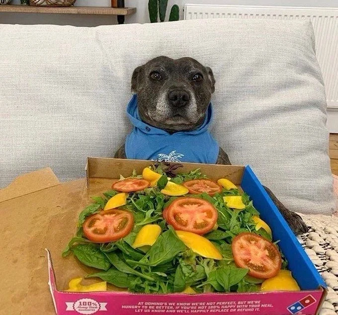 피자사왔다~_2.webp