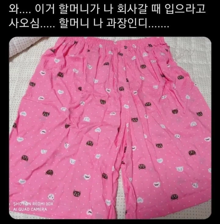 할머니가 회사갈 때 입으라고 사오셨다는 옷_1.webp