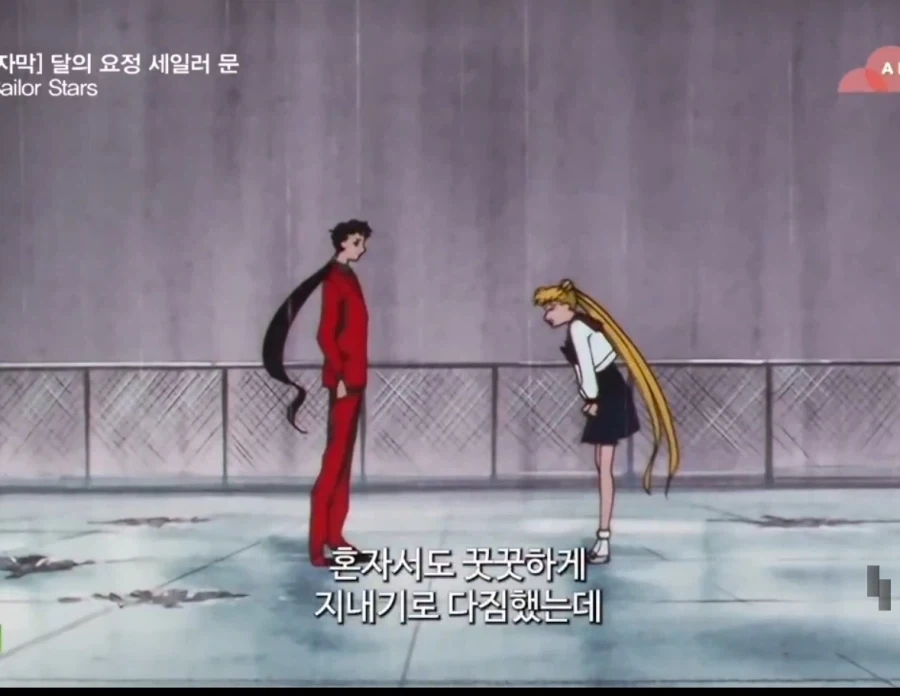 이런게 바로 순애가 아니고 뭐냐_1.webp