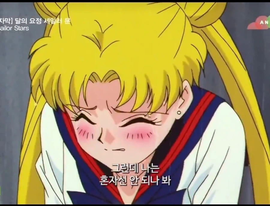 이런게 바로 순애가 아니고 뭐냐_2.webp