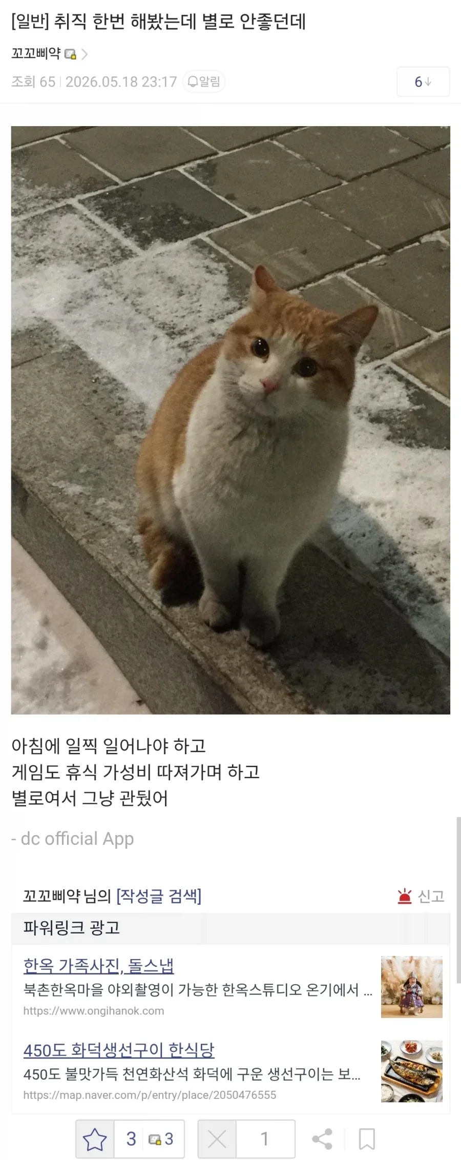 취직 한번 해봤는데 별로더라_1.webp