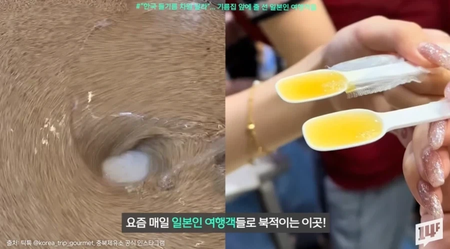 김의 뒤를 잇는 새로운 우리나라 전략자산.jpg_1.webp