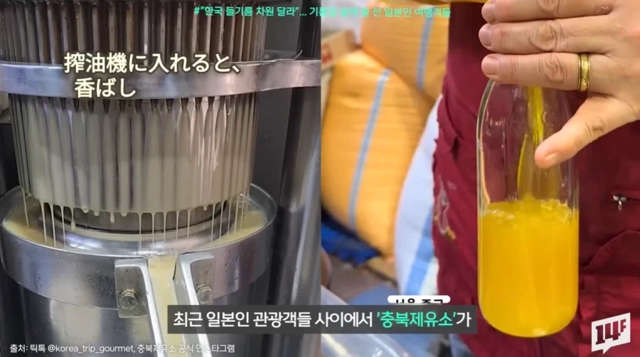 김의 뒤를 잇는 새로운 우리나라 전략자산.jpg_4.webp