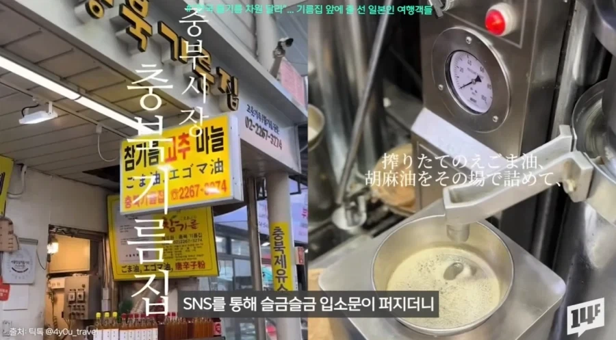 김의 뒤를 잇는 새로운 우리나라 전략자산.jpg_6.webp