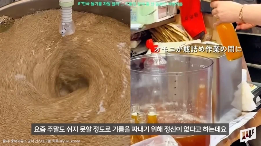 김의 뒤를 잇는 새로운 우리나라 전략자산.jpg_30.webp