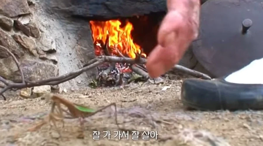 사마귀를 발견한 시골 할머니_3.webp