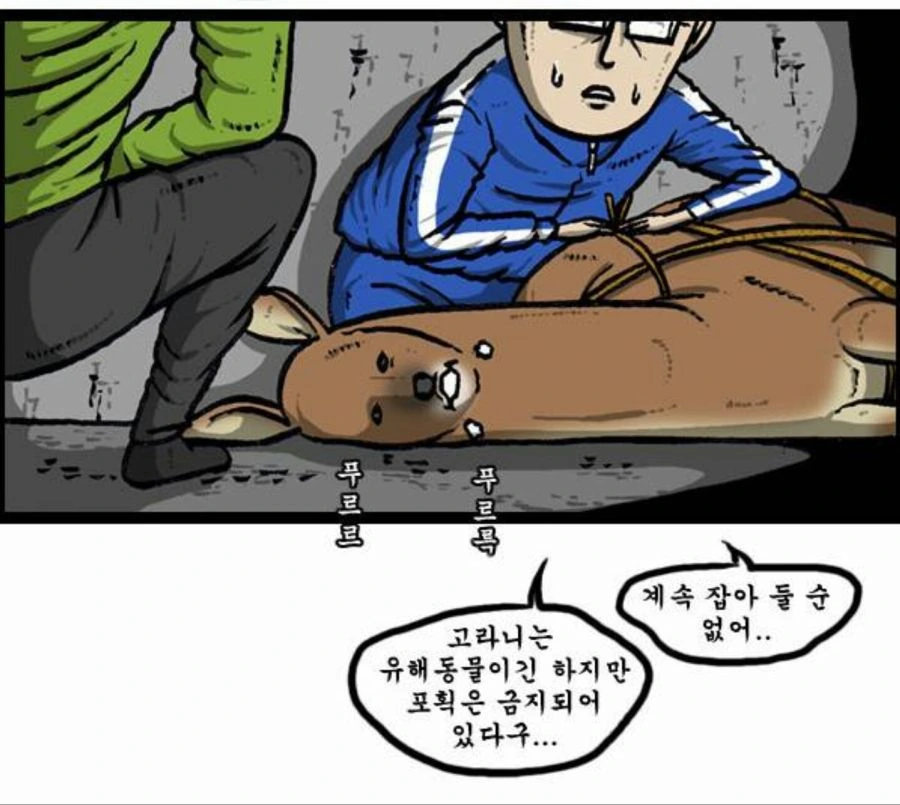 manga_2400457_002.webp