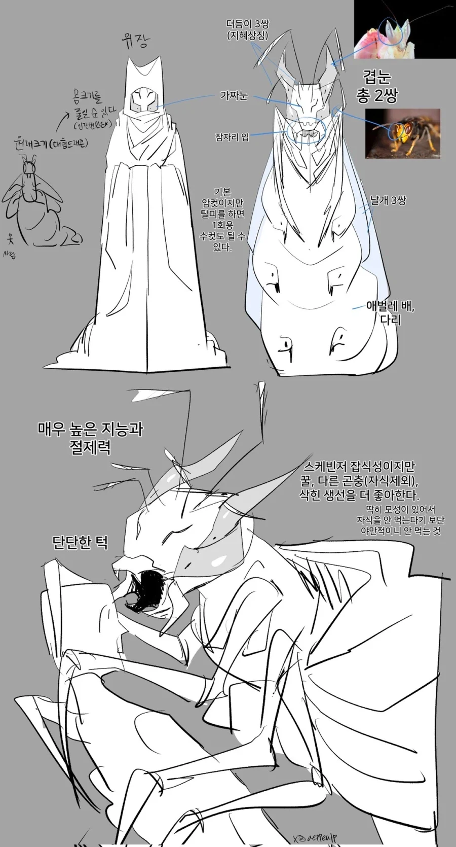 이세계에서 폴리 뭐시기 하는 만화_2.webp