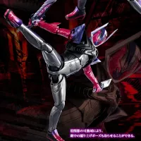 [반다이 혼웹상점] S.H.Figuarts 가면라이더 던