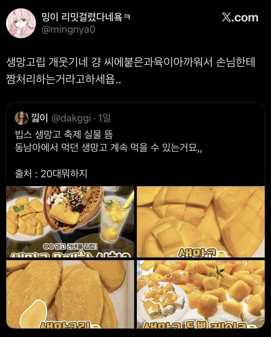 인스타에서 난리난 푸르츠 립_3.webp