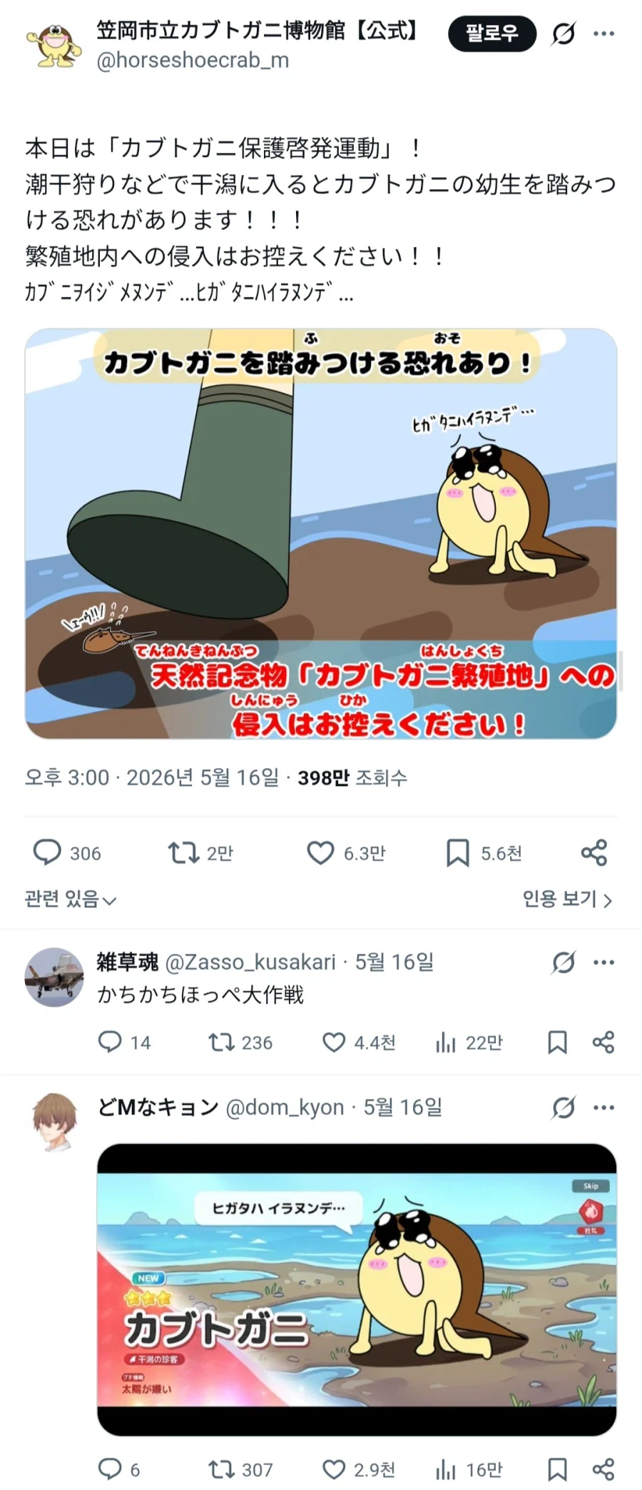 일본 투구게 박물관의 트윗_1.webp