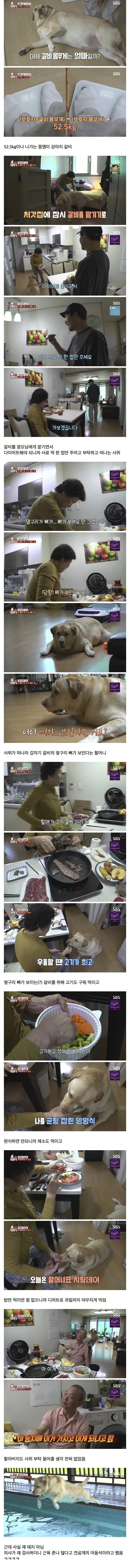 할머니한테 챱츄 맡기면 안되는 이유_1.webp