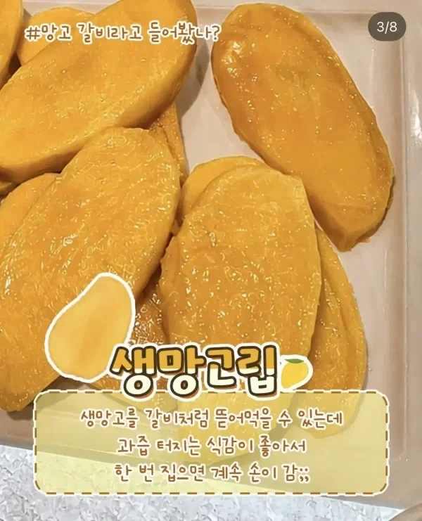 망고로 해내는 창조경제.jpg_1.webp