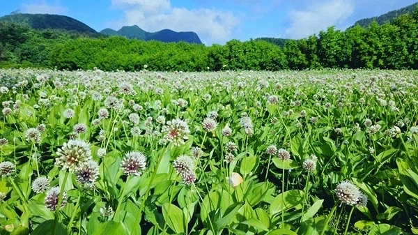 공직 근무하면 지방 발령하는것 때문에 퇴사 하고 싶다고??_10.webp