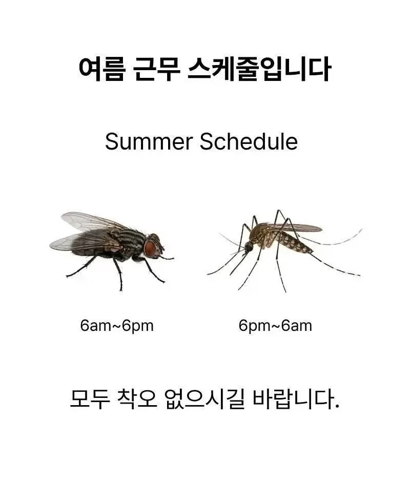 슬슬 거리낌없이 양지로 기어나오는 벌레들_1.webp