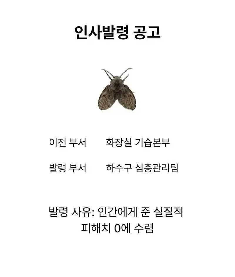 슬슬 거리낌없이 양지로 기어나오는 벌레들_3.webp