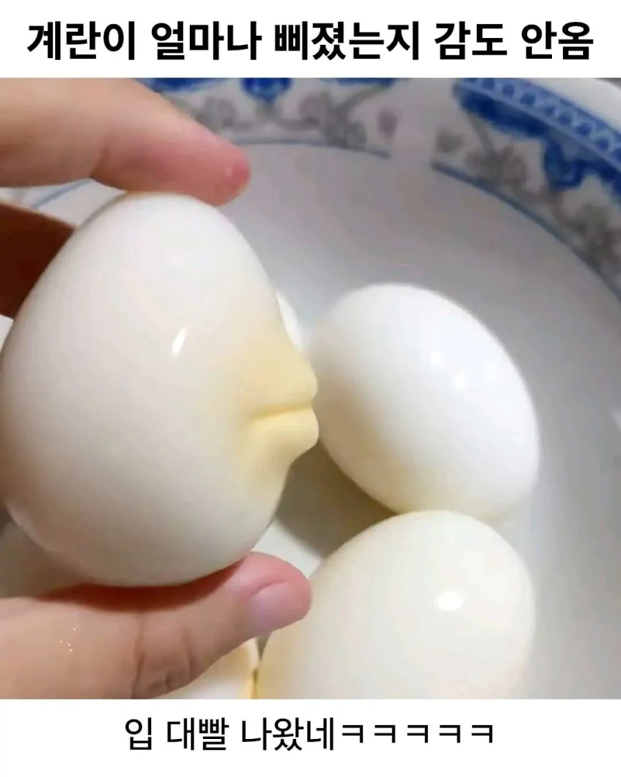 계란이 얼마나 삐졌는지 감도 안옴.jpg_1.webp