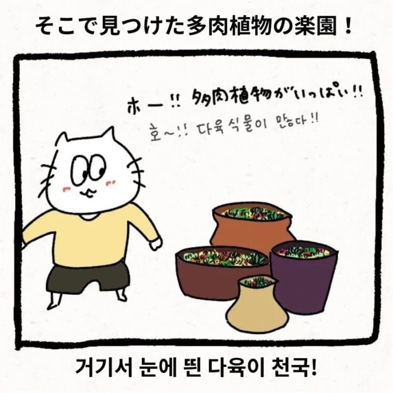 한국 시댁에 와서 이것저것 가져가는 며느리 .manwha_2.webp