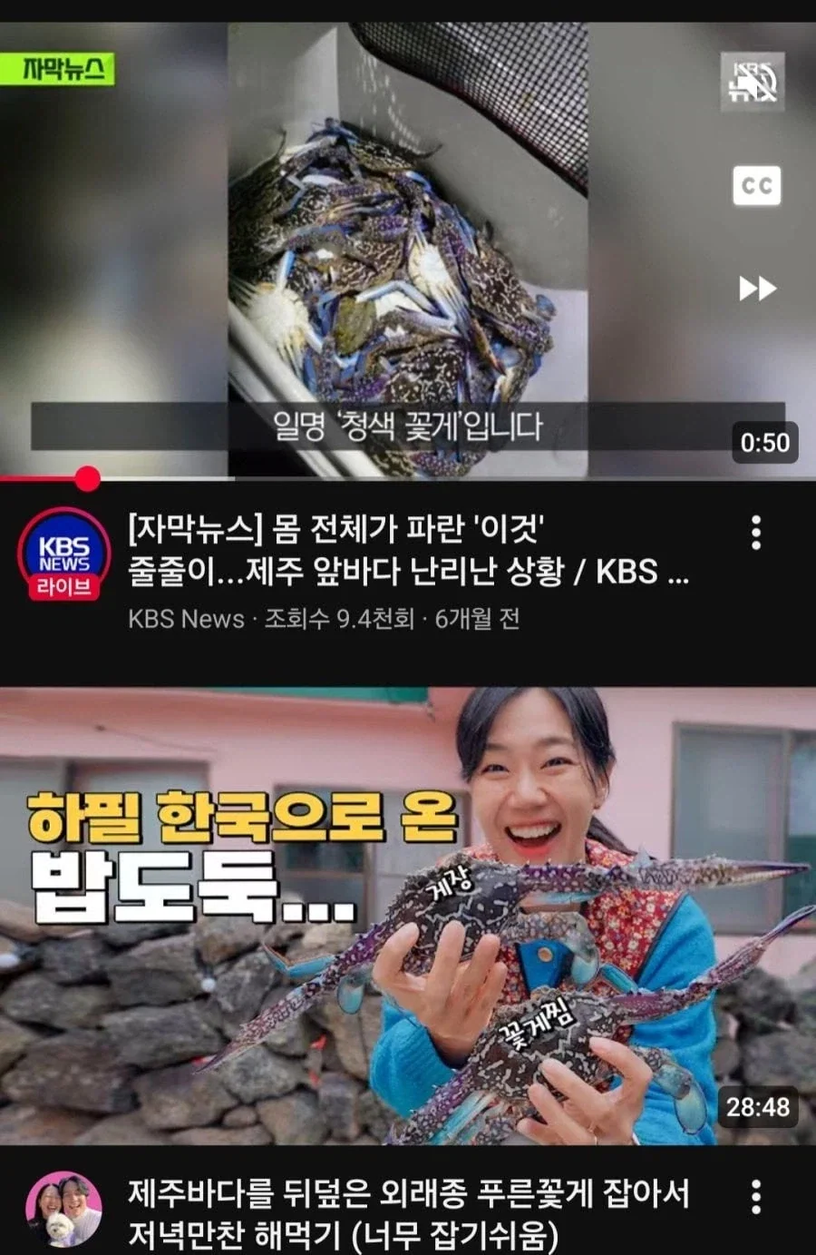 뭐? 플라워 크랩? 뭔 소리래 이새끼가_3.webp
